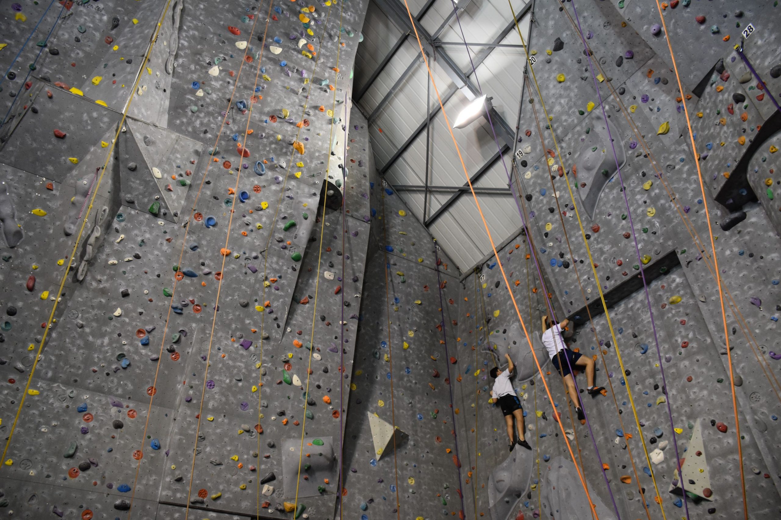 verschil tussen klimmen en boulderen