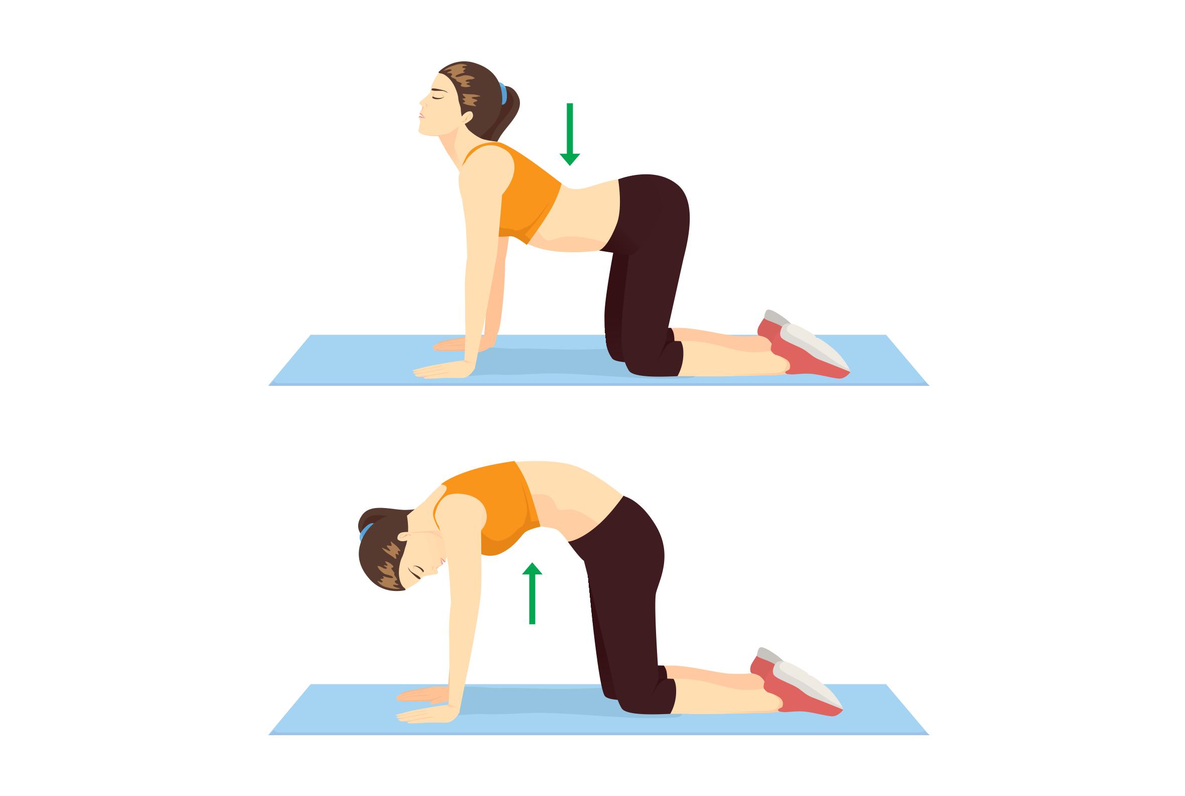 Kat-koe stretch